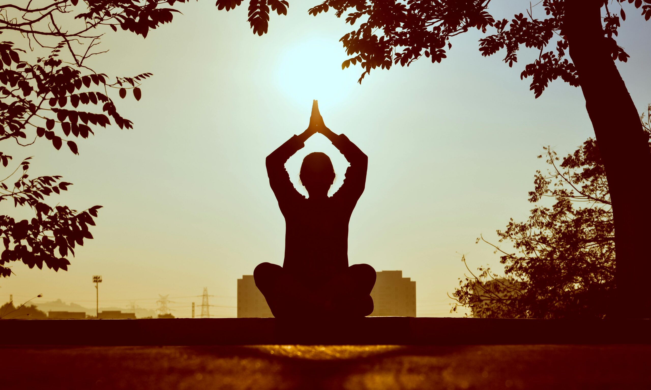 Person doing a seated yoga pose outdoors at sunrise.